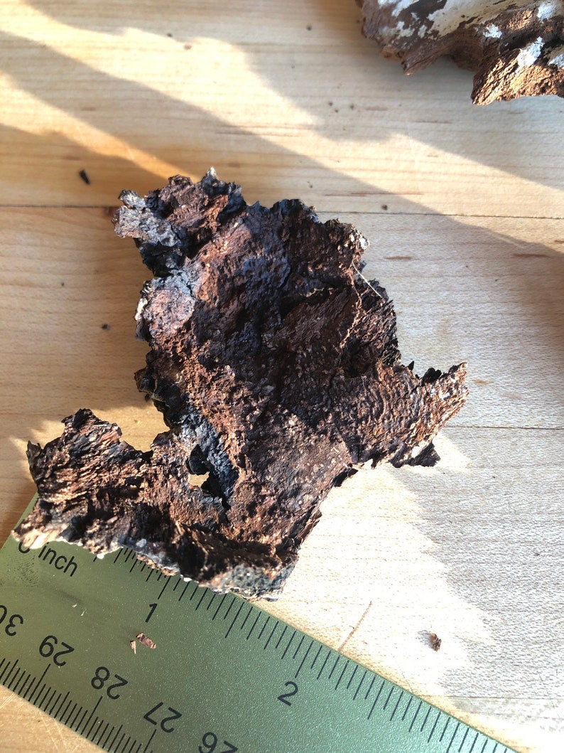 Puede incluir: Un primer plano de un trozo de corteza marr&oacute;n oscuro con una textura rugosa. La corteza mide aproximadamente 2,5 cm de ancho y 5 cm de largo. Est&aacute; sobre una superficie de madera marr&oacute;n claro.