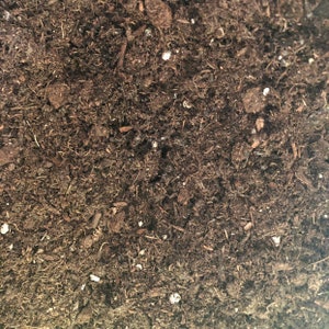 May include: Close-up of dark brown soil with small white particles mixed in.