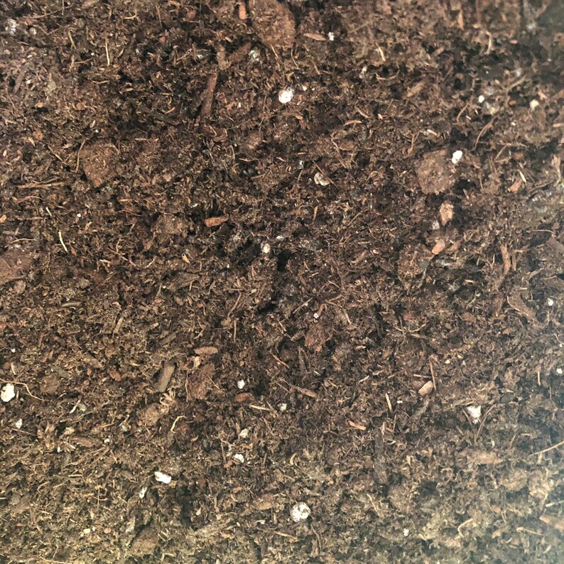 May include: Close-up of dark brown soil with small white particles mixed in.