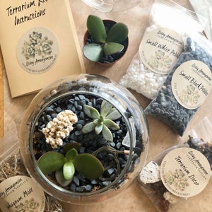 Kit de construction de terrarium bricolage complet pour plantes succulentes, feuillage ou mousse, meilleur cadeau d'anniversaire, fête virtuelle, arrangement de vie de team building image 2