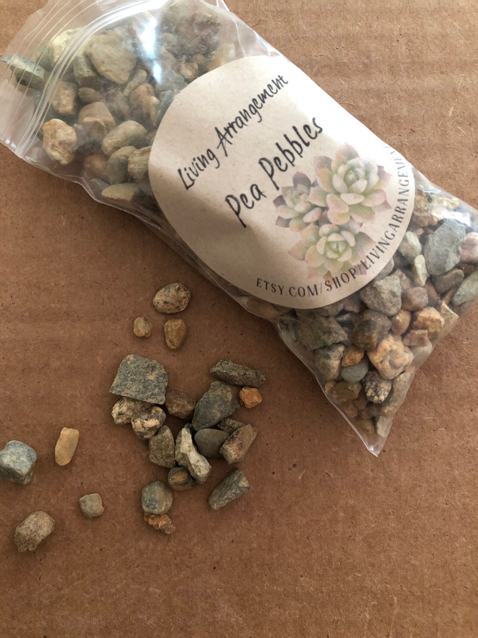 4lbs Bulk BUY Pebbles for Gardens and Terrariums Etsy