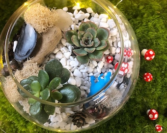 May include: A glass terrarium with white rocks, green succulents, and small red and white mushrooms. A blue plastic dinosaur figurine is also inside the terrarium.