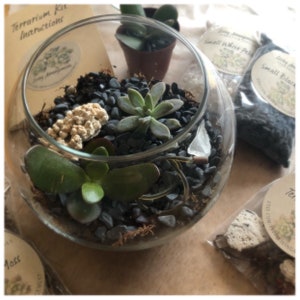 May include: A glass terrarium with black pebbles, white rocks, and two green succulents. The terrarium is on a wooden surface with other terrarium supplies.