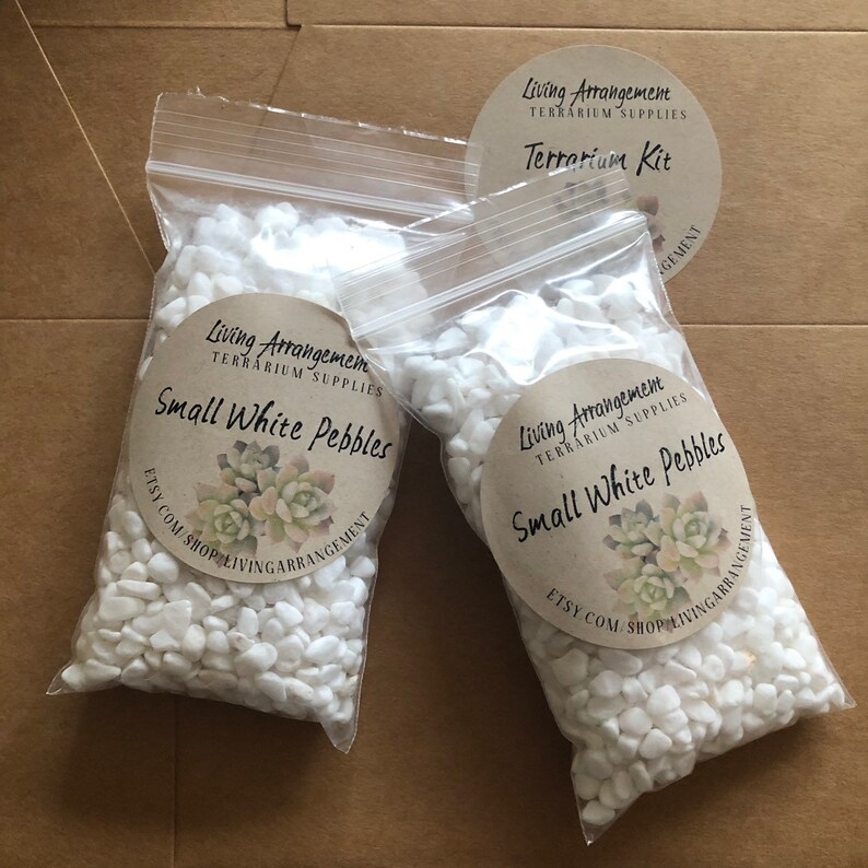 May include: Two bags of small white pebbles for terrariums. The bags are labeled "Living Arrangement Terrarium Supplies Small White Pebbles" and include the Etsy shop name and website address.