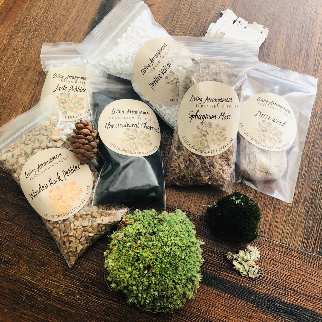 Live Moss Terrarium Supply Kit for DIY Mossarium Garden 