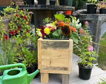 Wooden Garden Planter Cube Pine Box