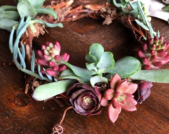 Couronne de fleurs de vigne succulente vivante fabriquée à partir de vigne sauvage du Maine