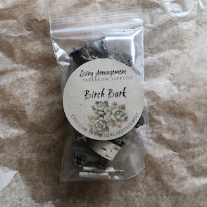 Puede incluir: Una bolsa de pl&aacute;stico transparente llena de trozos de corteza de abedul. La bolsa tiene una etiqueta redonda que dice "Living Arrangement Terrarium Supplies Birch Bark Etsy.com/shop/livingarrangement".