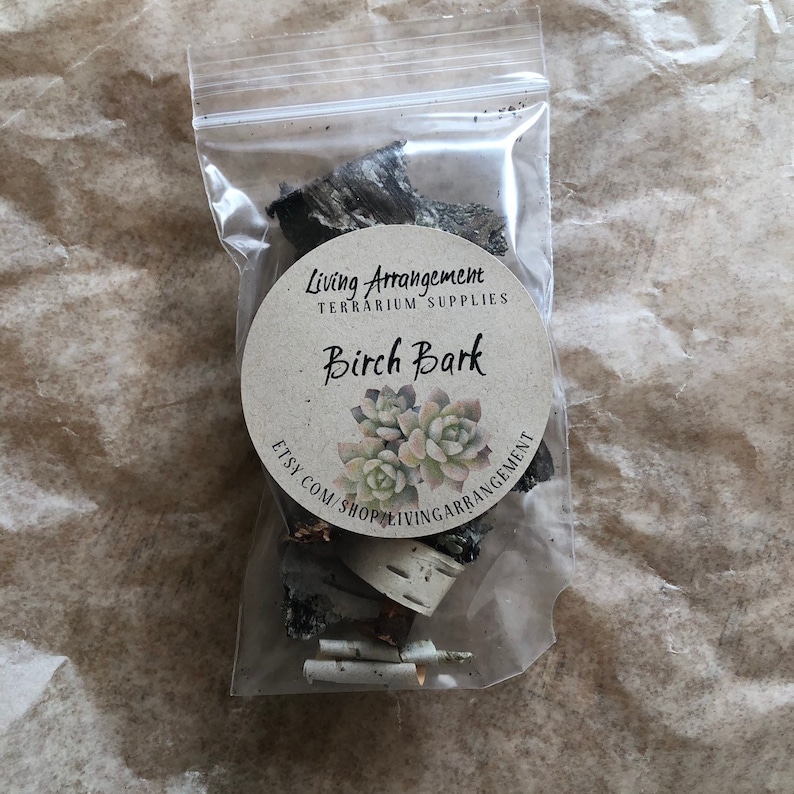Puede incluir: Una bolsa de pl&aacute;stico transparente llena de trozos de corteza de abedul. La bolsa tiene una etiqueta redonda que dice "Living Arrangement Terrarium Supplies Birch Bark Etsy.com/shop/livingarrangement".