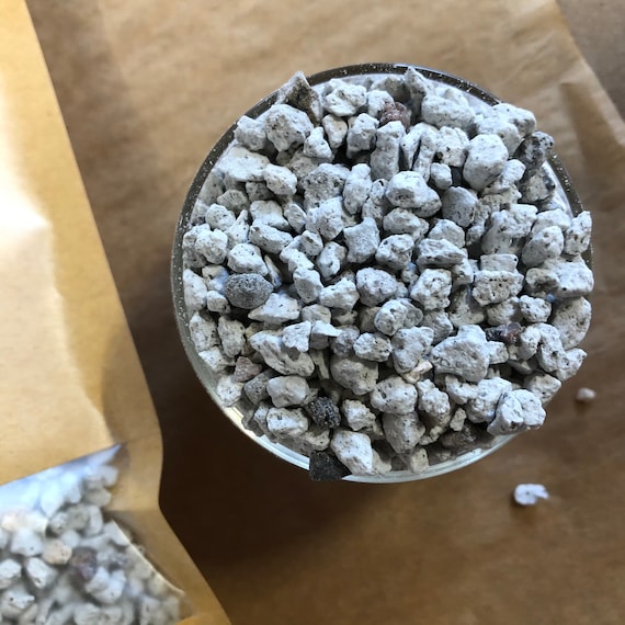 Pumice Stone Drainage and Aeration Aggregate for Succulents Etsy
