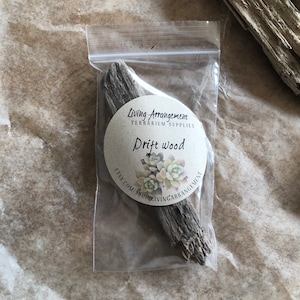 Small Driftwood for Terrariums, Mini Gardens, Rock Garden, Mothers Day, Crafts