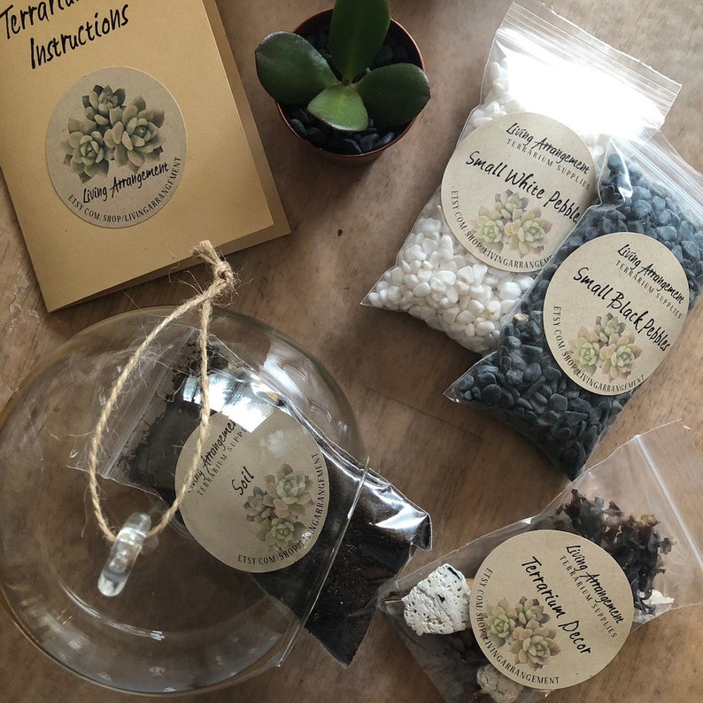 May include: A terrarium kit with a glass globe, soil, small white and black pebbles, and terrarium decor. The kit also includes a small potted succulent plant.