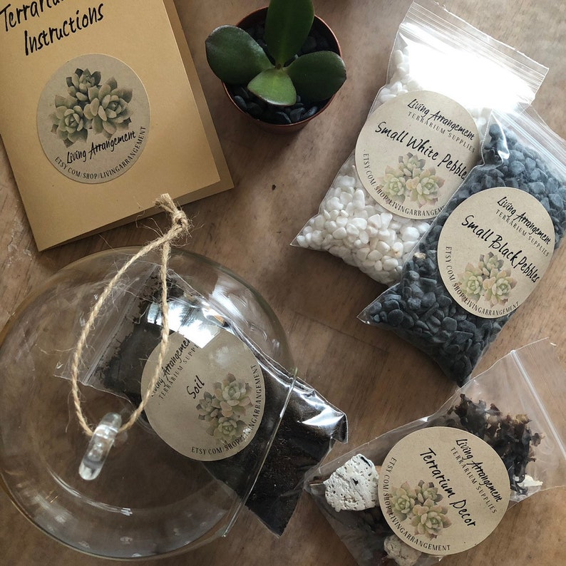 Kit de construction de terrarium bricolage complet pour plantes succulentes, feuillage ou mousse, meilleur cadeau d'anniversaire, fête virtuelle, arrangement de vie de team building image 4