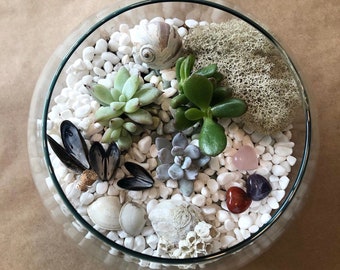 Kit de construction de terrarium bricolage complet pour plantes succulentes, feuillage ou mousse, meilleur cadeau d'anniversaire, fête virtuelle, arrangement de vie de team building