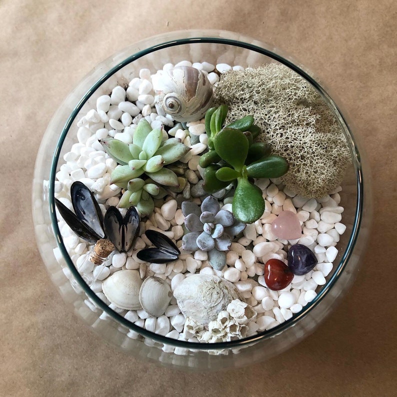 DIY Terrarium Building Kit Complete for Succulents, Foliage, or Moss, Best Birthday Present, Virtual Party, Team Building living arrangement image 1