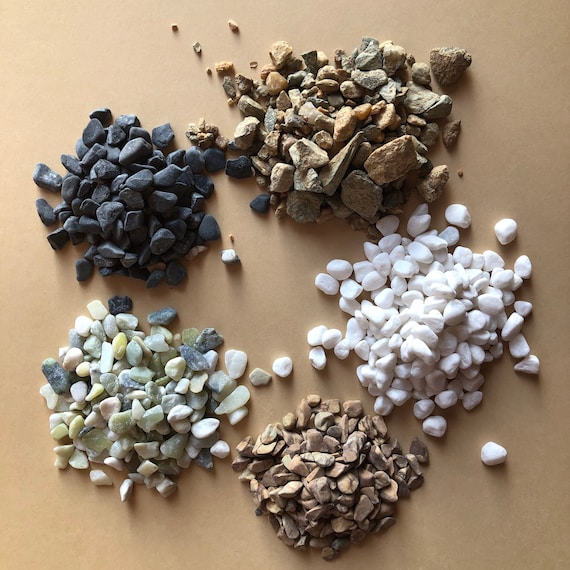 1 lb Small Natural Pebbles: Terrarium Building Supply