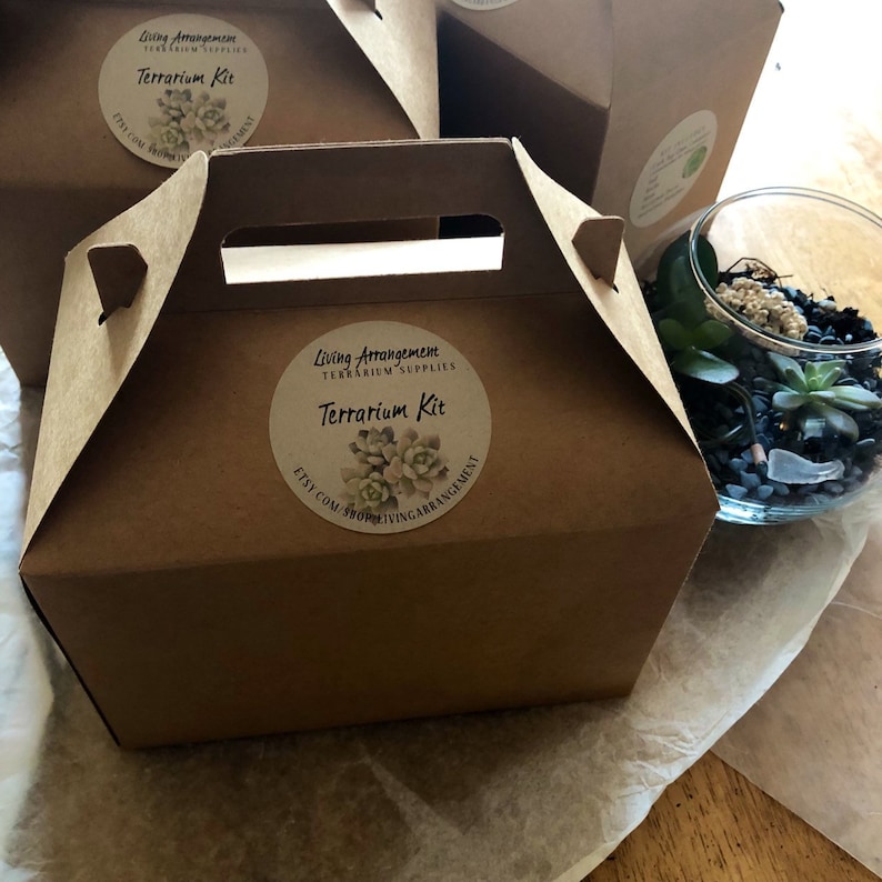 May include: A brown cardboard box with a handle, labeled "Living Arrangement Terrarium Supplies Terrarium Kit" with a small succulent plant illustration. The box is sitting on a white surface next to a clear glass terrarium filled with small plants, rocks, and soil.