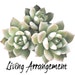 Living Arrangement