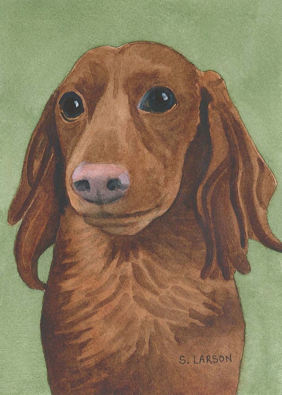 Dachshund Long Haired Watercolor Print Etsy
