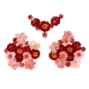 Real Dried Pressed Flower Nipztix Pasties Nipple Covers Breast Petals For Festivals and Raves