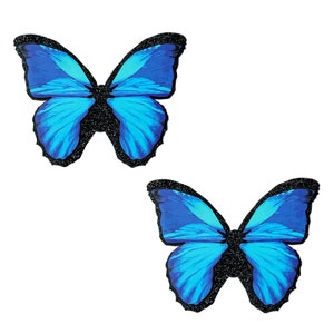 Big Beautiful Blue Black Glitter Butterfly Nipple Cover Pasties Stickers For Raves, Festivals, Parties, Costumes and more. Waterproof