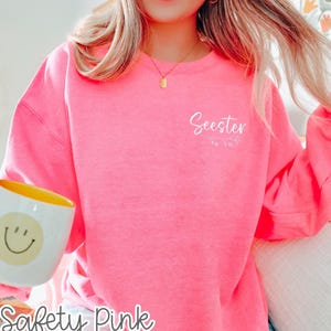 刺繍入り姉妹クルーネック スウェットシャツ、最高の姉妹への贈り物、妹への贈り物、姉妹シャツ、姉のセーター、義理の姉妹への贈り物