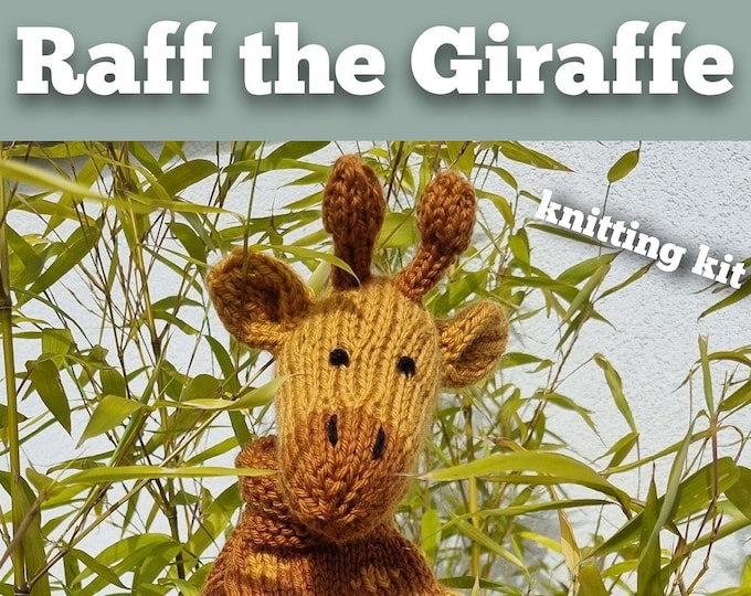 Hector the Dog Knitting Kit Make Your Very Own Dog Easy to Etsy UK