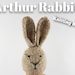 see more listings in the Rabbits  section