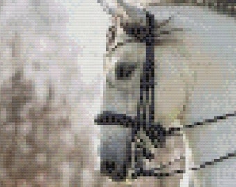 Grey Dressage Stallion Cross Stitch Pattern ~ PDF, Instant download, Grey Stallion, Warmblood, Equestrian, Lusitano, Andalusian, Dressage.