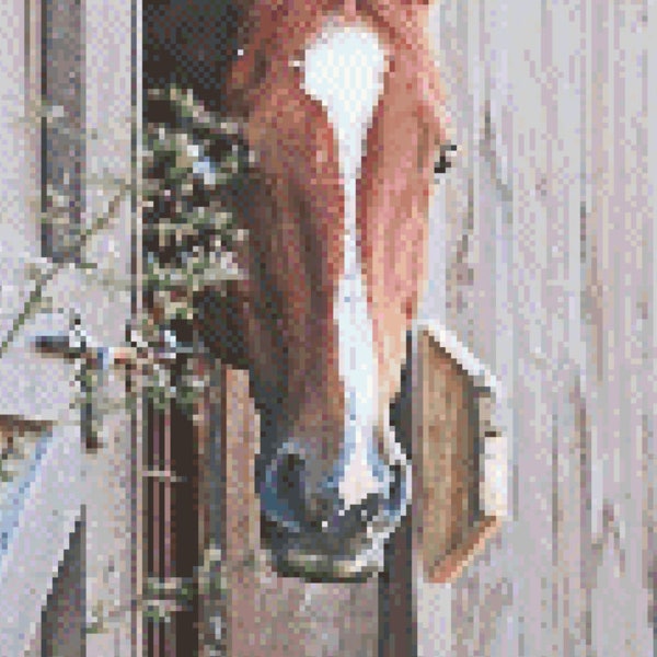 Sunday is Barn Day Cross Stitch Pattern ~ PDF, Instant download, Horse, Country, Barn, Stable, Stallion, Warmblood, Chestnut, Sunday.