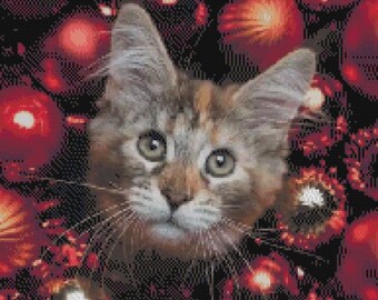 Tortishell Kitten - Etsy