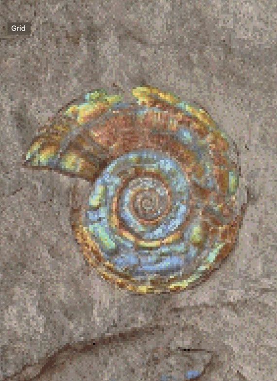 Pastel Ammonite Fossil Cross Stitch Pattern PDF Instant Download