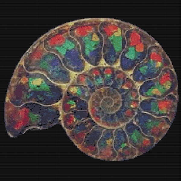 Stunning Alberta Ammonite Fossil V Cross Stitch Pattern ~ PDF, Instant download, Ammolite, Canada, Palaeontology, Archaeology, Geology, Gem.