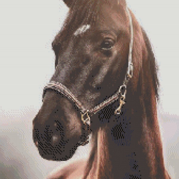 Black Beauty Cross Stitch Pattern ~ PDF, Instant download, Stallion, Black beauty, Halter, Gelding, Equestrian, Warmblood, Thoroughbred.