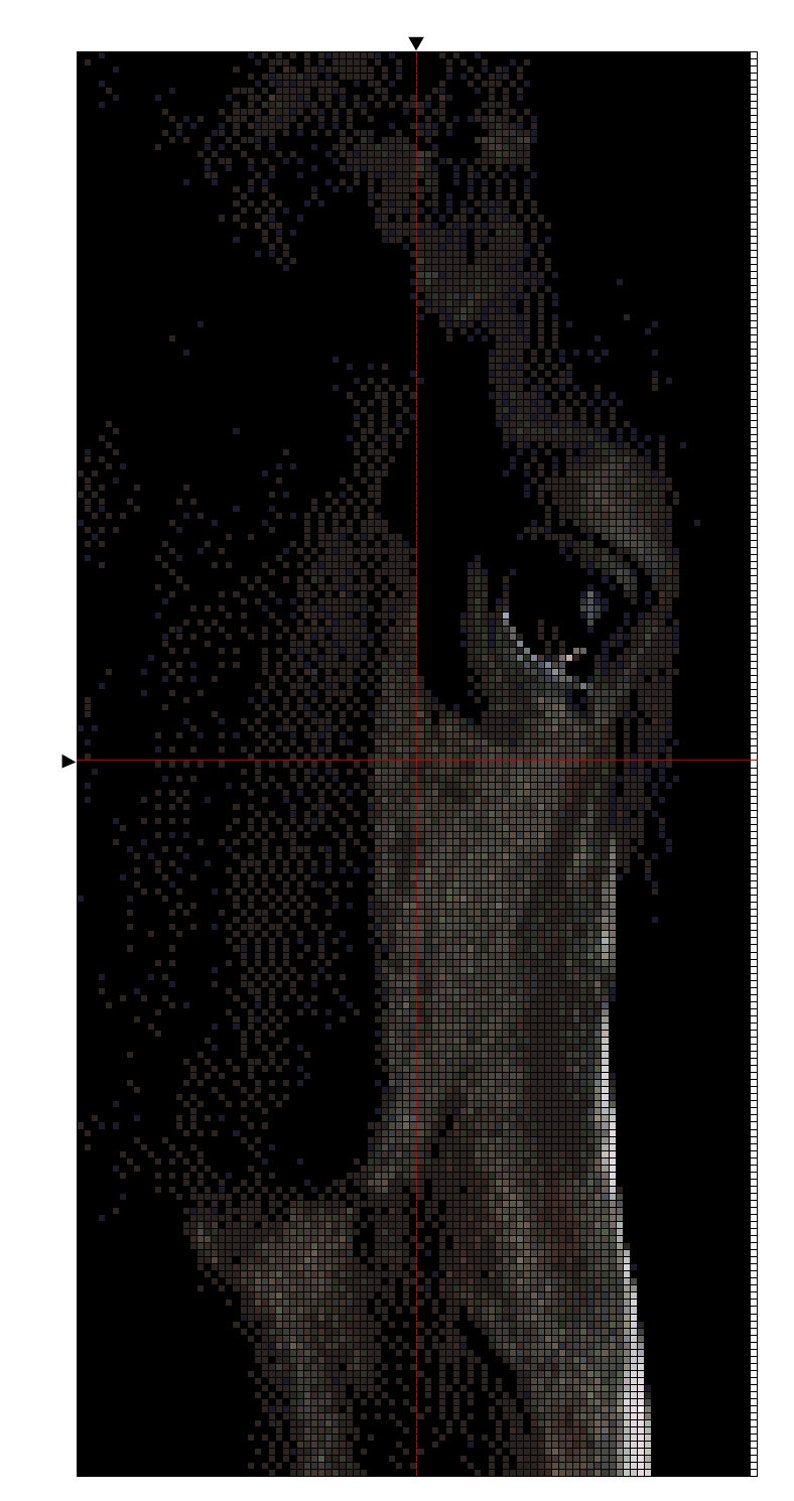 Black Horse Cross Stitch Pattern PDF, Instant Download, Dark, Rustic