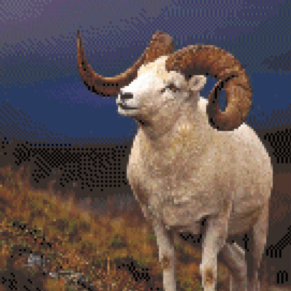 Dall Sheep Cross Stitch Pattern ~ PDF, Instant download, Dall's sheep, Big horn sheep, Ram, Exotic, Big game, Big curl, Mountain, Horn.