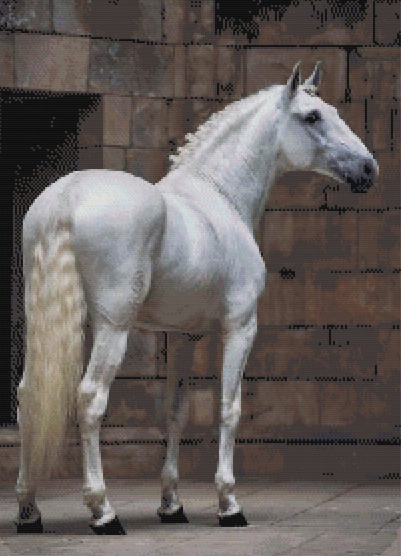 White Lusitano Stallion Cross Stitch Pattern ~ PDF, Instant White Lusitano Stallion Cross Stitch Pattern ~ PDF, Instant