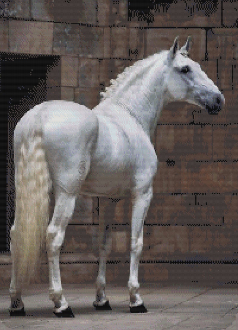 Dapple Grey Andalusian Stallion Cross Stitch Pattern PDF, Instant Download,  PRE, Grey Stallion, Andalusian, Lusitano, Dressage. -  Canada