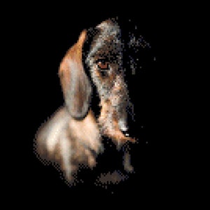 Wirehair Dachshund Dog Cross Stitch Pattern ~ PDF, Instant download, Wirehair, Terrier, Rustic, Wiener dog, Rescue dog, Farm dog, Dachshund.