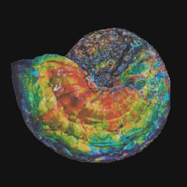 Stunning Alberta Ammonite Fossil III Cross Stitch Pattern ~ PDF, Instant download, Ammolite, Canada, Fossil, Ancient, Palaeontology, Geology