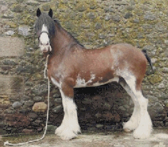 Brown Clydesdale Horse - Diamond Paintings 
