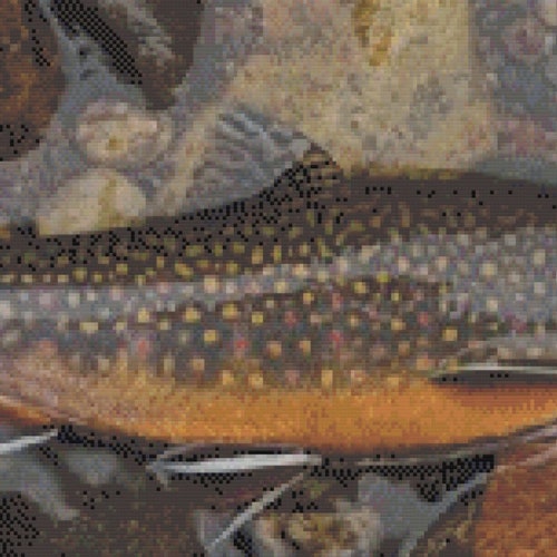 Rainbow Trout Counted Cross Stitch Pattern Xstitch PDF Etsy