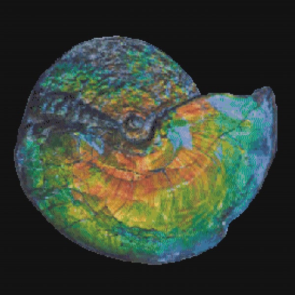 Stunning Alberta Ammonite Fossil IV Cross Stitch Pattern ~ PDF, Instant download, Ammolite, Canada, Palaeontology, Archaeology, Precious.