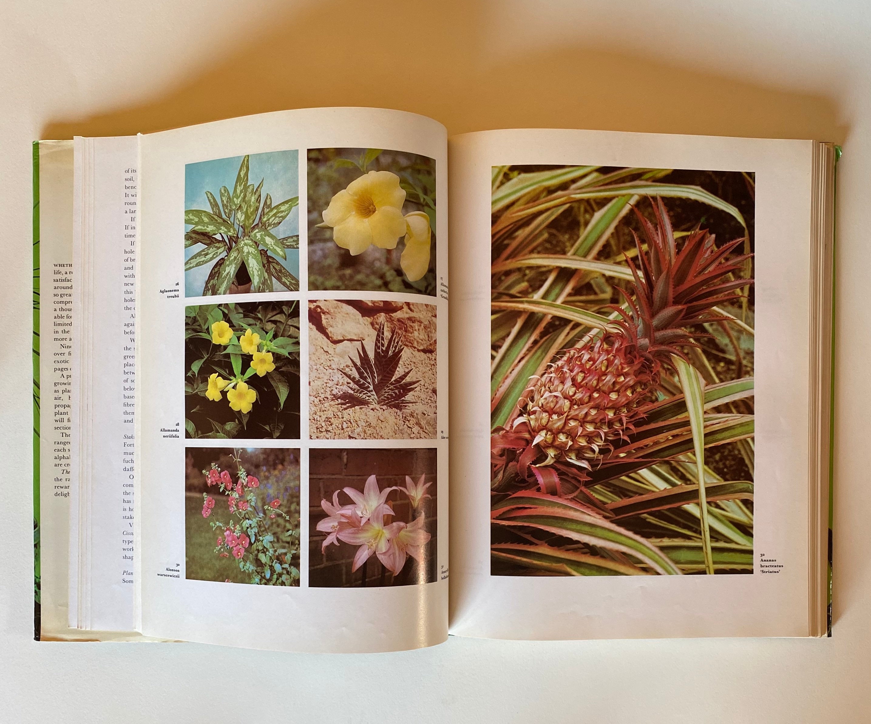 Vintage House Plants Coffee Table Reference Book Etsy UK