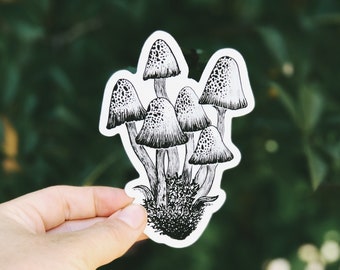 Mushroom II Vinyl Sticker  - Waterproof Adventure, Nature, Wildlife Water Bottle Sticker, Car, Laptop, Phone Decal, Best Friend Gift