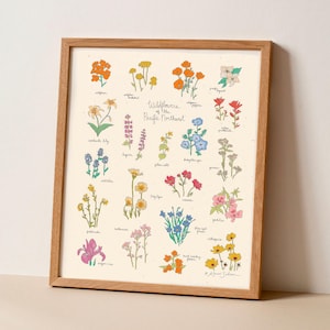 Wildblumen des pazifischen Nordwestens Kunstdruck - Oregon Washington Blumen, Vintage Blumendruck, pazifischer Nordwesten, Wandkunst der Westküste