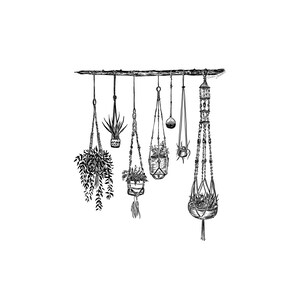 Hanging Plants Art Print Botanical Wall Art Drawing Plant Lady Illustration Flower Plant Pot ...