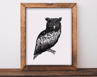 Mountainous Owl Fine Art Print