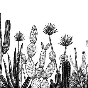 Growing Cactus Art Print Succulent Wall Art, Cactus Landscape Illustration, Plant Lover Art Print Ink Cactus Southwest Wall Art, Ink Plant image 5