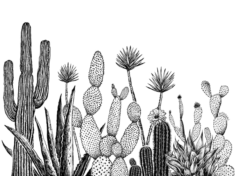 Growing Cactus Art Print Succulent Wall Art, Cactus Landscape Illustration, Plant Lover Art Print Ink Cactus Southwest Wall Art, Ink Plant image 5